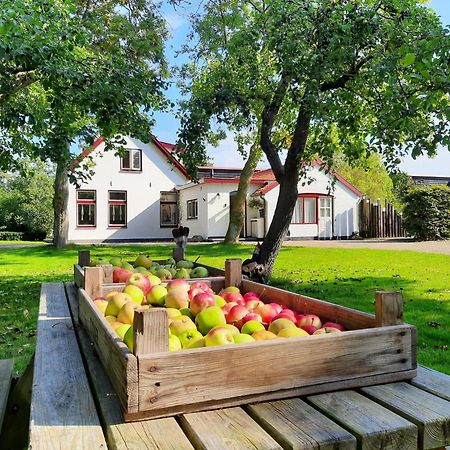 Ferienwohnung De Vrijheid-Plantage De Cocksdorp  Exterior foto